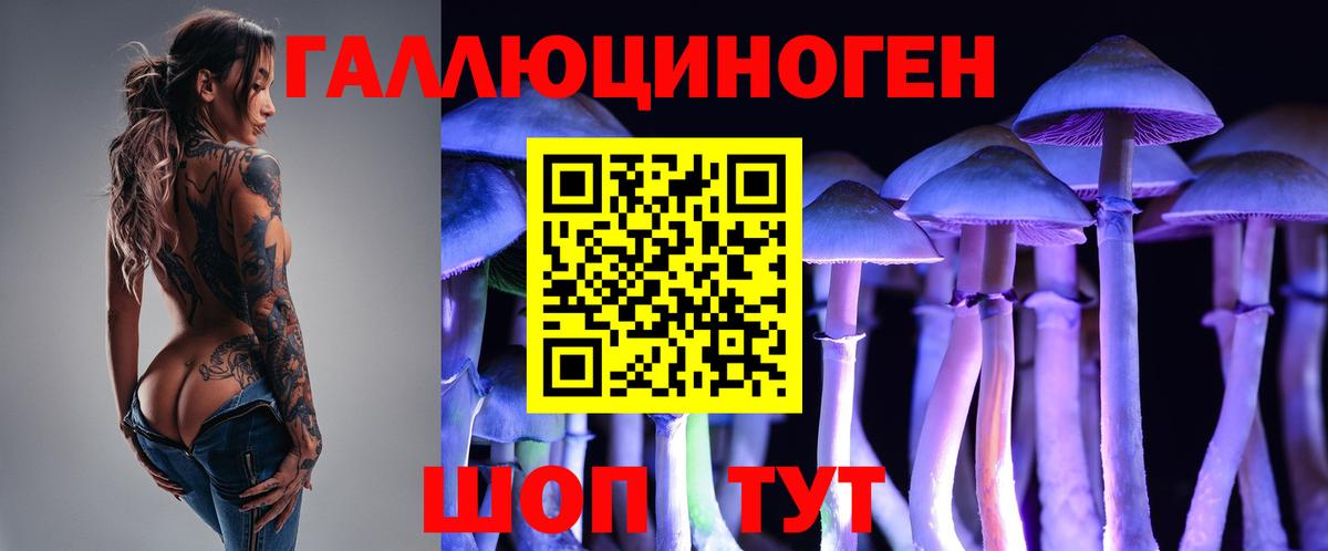 Галлюциногенные грибы GOLDEN TEACHER  Вход с VPN  Славянск-на-Кубани 