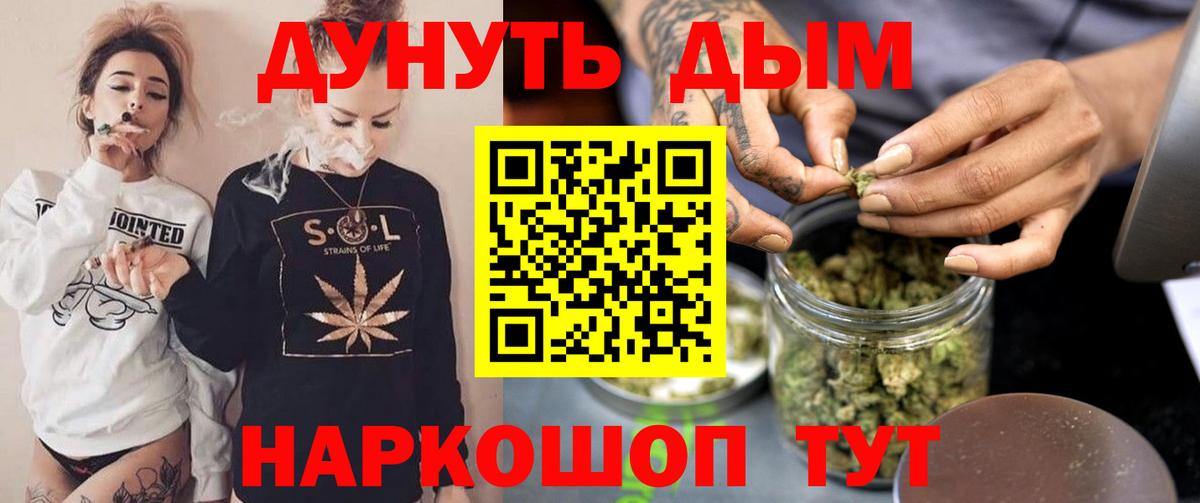 Бошки Шишки планчик  Вход с VPN  Конопля семена  Бошки Шишки планчик  Бошки марихуана планчик  Славянск-на-Кубани 